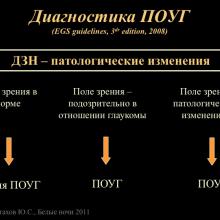Астахов Ю.С. Ранняя диагностика глаукомы. Доклад. Белые ночи-2011, 01 июня 2011г., Санкт-Петербург, Россия. Astakhov YS Early diagnosis of glaucoma. Академия глаукомы, Academy Glaucoma. Клуб знатоков. Офтальмологический портал Орган зрения www.organum-visus.com