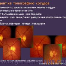 Новые методы обучения врачей-офтальмологов диагностике глаукомы путем оценки ДЗН (ONE – Optic Nerve Evaluation) Ловпаче Д.Н., Белые ночи-2011. Lovpache D.N. New methods of training of ophthalmologists diagnose glaucoma by assessment of optic disk. Фокус на диагностику. Focus on the diagnosis. Программа ONE, The Programm ONE: Optic Nerve Evaluation. Академия глаукомы. Клуб знатоков портала орган зрения www.organum-visus.com