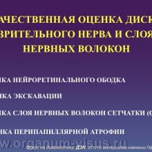 Фокус на диагностику, Diagnosis in focus. Диагностическая ценность осмотра диска зрительного нерва и слоя нервных волокон сетчатки при глаукоме. Профессор Курышева Н.И., г. Москва, Россия. По материалам компании Пфайзер. «АкадемиЯ Глаукомы» Academy Glaucoma инновационный образовательный проект для офтальмологов при поддержке компании Пфайзер. Опубликовано в разделе Клуб знатоков портала Орган зрения www.organum-visus.com, дизайн слайдов подготовил Голубев С.Ю.