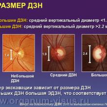 Фокус на диагностику, Diagnosis in focus. Диагностическая ценность осмотра диска зрительного нерва и слоя нервных волокон сетчатки при глаукоме. Профессор Курышева Н.И., г. Москва, Россия. По материалам компании Пфайзер. «АкадемиЯ Глаукомы» Academy Glaucoma инновационный образовательный проект для офтальмологов при поддержке компании Пфайзер. Опубликовано в разделе Клуб знатоков портала Орган зрения www.organum-visus.com, дизайн слайдов подготовил Голубев С.Ю.